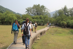The Lantau Countryside Ecological and Cultural Education Programme mainly consists of two parts, namely audio guides and the training of Lantau Ecological Education Ambassadors. Audio guides are available for four themed routes, covering a number of areas in Lantau with higher ecological and cultural values, such as Pui O and Shui Hau. Pictured above is Pui O.