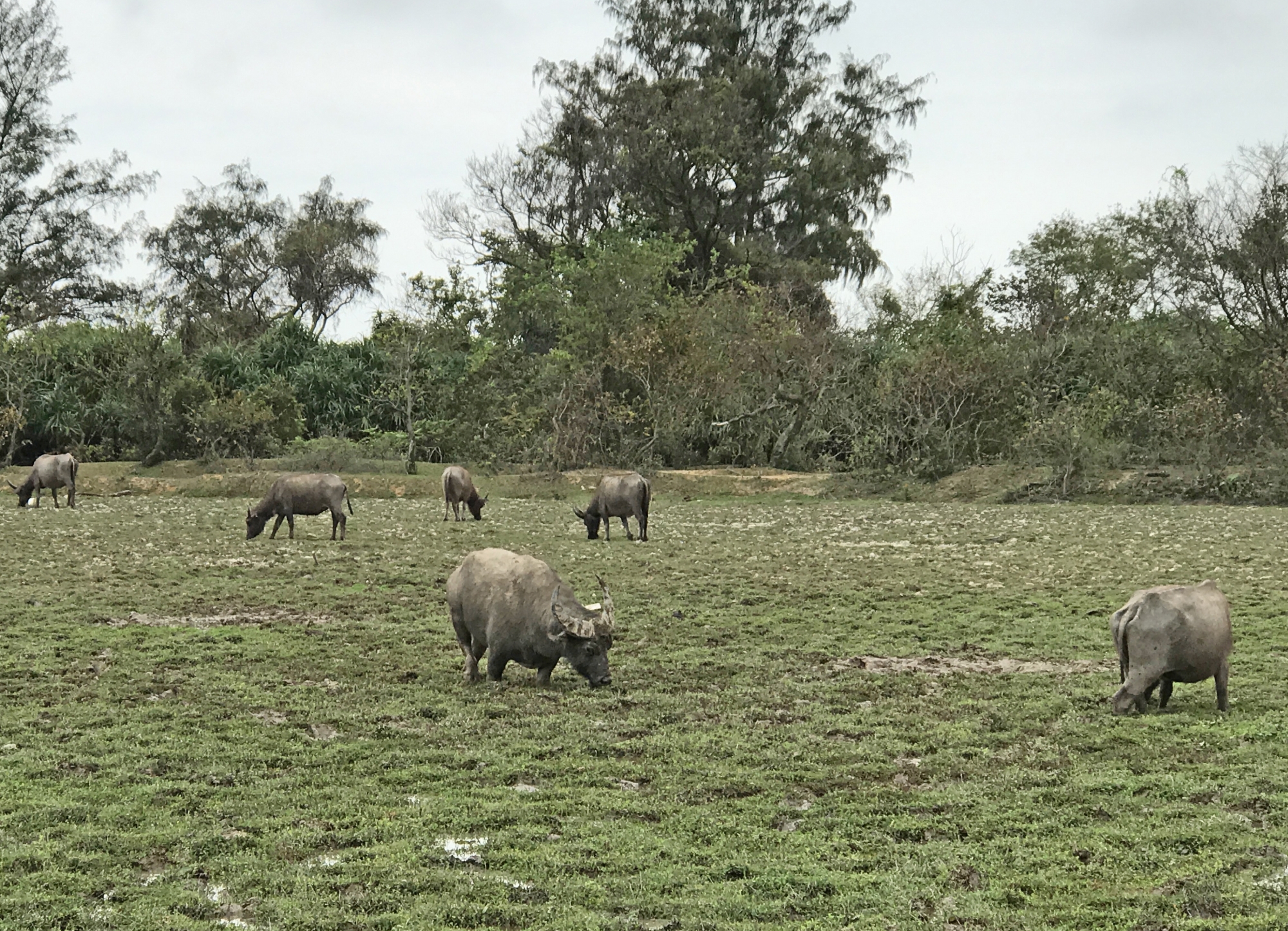 The Lantau Countryside Ecological and Cultural Education Programme mainly consists of two parts, namely audio guides and the training of Lantau Ecological Education Ambassadors. Audio guides are available for four themed routes, covering a number of areas in Lantau with higher ecological and cultural values, such as Pui O and Shui Hau. Pictured above is Pui O.