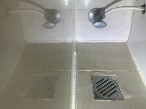 Occupants should have a good habit of pouring about half a litre of water into each floor drain at home once a week to ensure water seal in the trap functions properly.