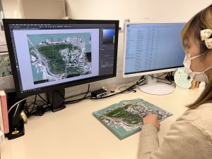 The SMO will take into account colour consistency of the orthophotos, and put grid lines and markers onto the orthophotos.