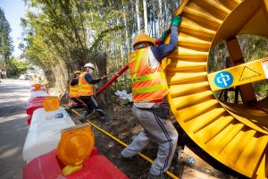The engineering team of the CLP Power works round the clock to complete various power supply projects for the CIFs in record time.