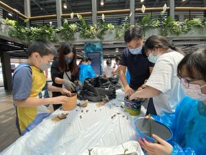 The Sustainable Lantau Office (SLO) of the Civil Engineering and Development Department (CEDD) recently launched a 4-month Mangrove Planting Scheme, inviting primary school students in Tung Chung to plant mangrove seedlings, with a view to promoting sustainable development and co-building the community. 