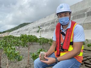 Marine Conservation Officer (Lantau) of the Sustainable Lantau Office of the CEDD, Mr WO King-tai, says that the mangrove seedlings planted by the Mangrove Planting Scheme participants will be transplanted to the Tung Chung Eco-shoreline later.