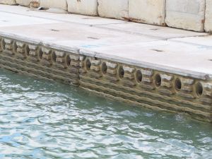 As species of smaller sizes can attach themselves to the cavities on the eco-tiles in the Vertical Eco-shoreline for growth, biodiversity can be enhanced. 