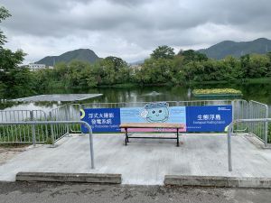The DSD has built a viewing platform specifically near the FPV system and Ecological Floating Island at the San Tin Stormwater Storage Pond, for visitors to relax and enjoy the beautiful view of the pond.