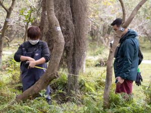 With funding support of the LCF, staff of the Hong Kong Bird Watching Society have recently conducted site visits to the wetland in Shui Hau and exchanged views with stakeholders.  Their project is testing different habitat management practices in Shui Hau to lay the foundation for long-term conservation strategies in future.