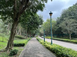 All new road projects are required to provide planting zones of about two metres minimum in width and free of underground utilities.