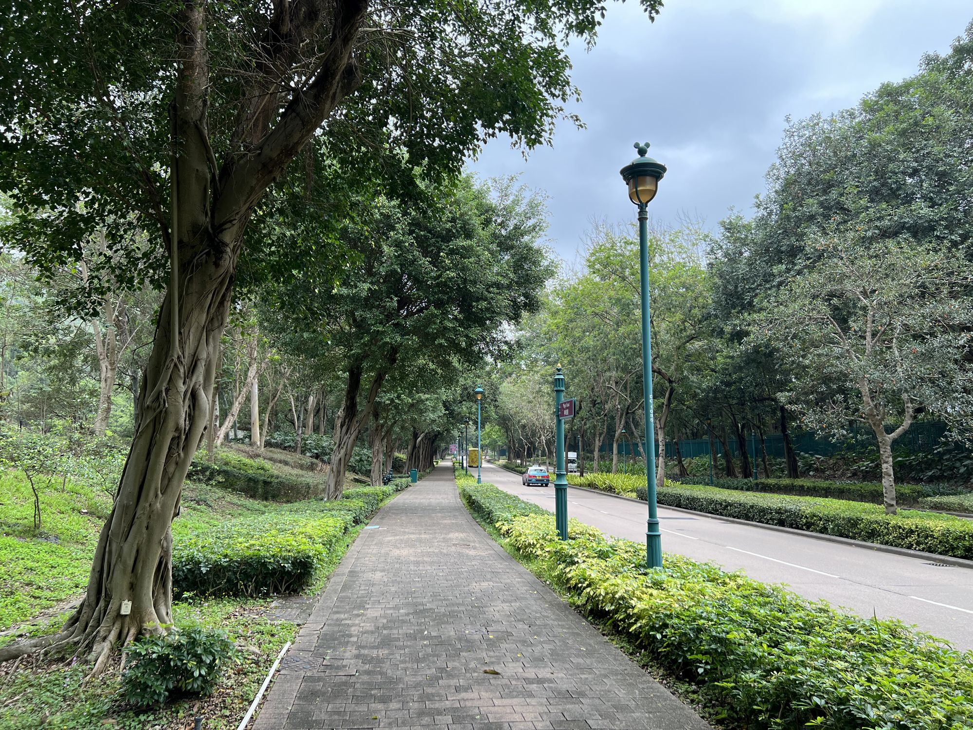 All new road projects are required to provide planting zones of about two metres minimum in width and free of underground utilities.