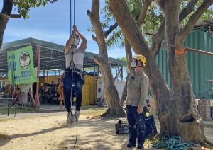 Through the Study Sponsorship Scheme and Trainee Programme under the Urban Forestry Support Fund, it is hoped that more new blood will be encouraged to join the tree management industry.