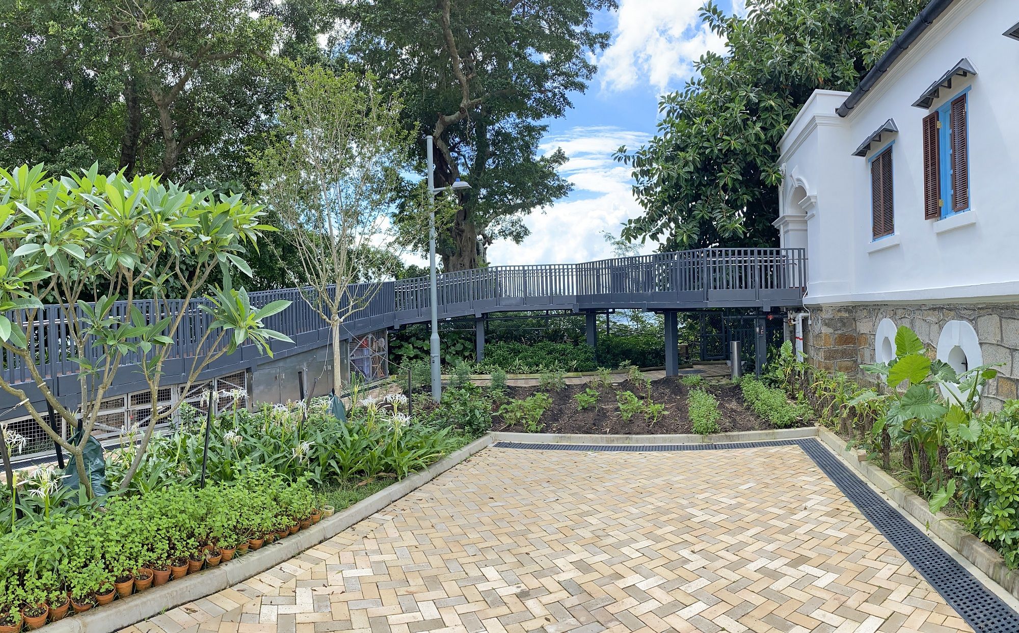 In order to comply with the Code of Practice for Fire Safety in Buildings and the requirements for barrier-free access, the revitalisation project (i. e. The Pokfulam Farm shown in the picture) has added an access ramp to reach the first floor of the Main Building.