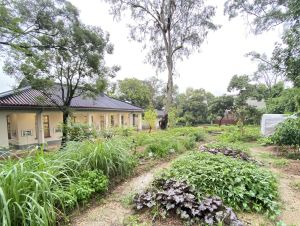 In the open space outside the LHTWC are a Chinese medicinal herb garden, an organic farm and a paddy field.