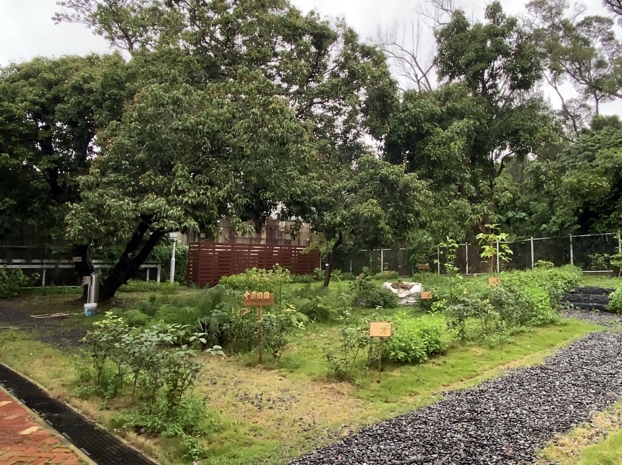 In the open space outside the LHTWC are a Chinese medicinal herb garden, an organic farm and a paddy field.