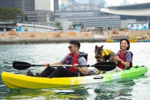 「海洋新幹線水上活動中心」座落於灣仔水上運動及康樂主題區，是港島市區內首個同類設施，透過提供多元化的水上休閒和訓練等活動，致力為公眾打造全齡化及寵物友善的親水空間。