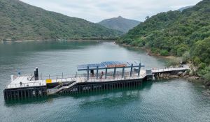 大埔深涌碼頭。