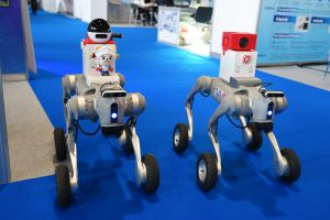 機電工程署用於密閉空間巡查的機械狗隊獲得金獎。