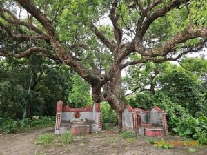 土木工程拓展署計劃在新田科技城周邊的洲頭村興建具備「城鄉共融」概念的休憩用地，這些空間同時可用作舉辦傳統節慶活動。