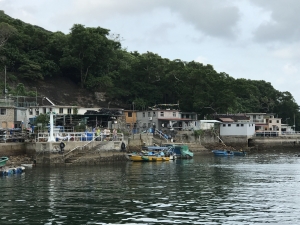 This year, the Government formulated the Pier Improvement Programme (PIP). The first phase covers about 10 public piers in the New Territories and on the outlying islands.