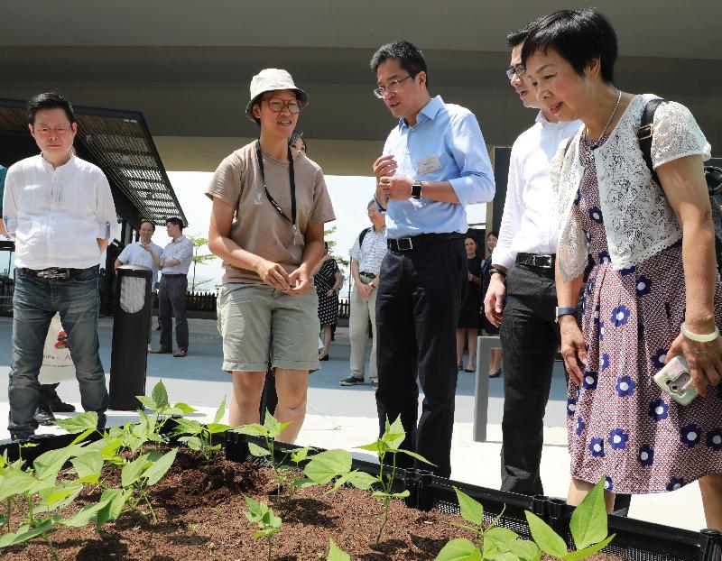 The Secretary for Development, Mr Michael Wong (centre), today (September 16) officiates at the opening of the Fly the Flyover 02 and 03 cum the award presentation ceremony of the City Dress-up Public Art Competition - Flyover Fantasy. Photo shows Mr Wong visiting the urabn farm at the Fly the Flyover 02.