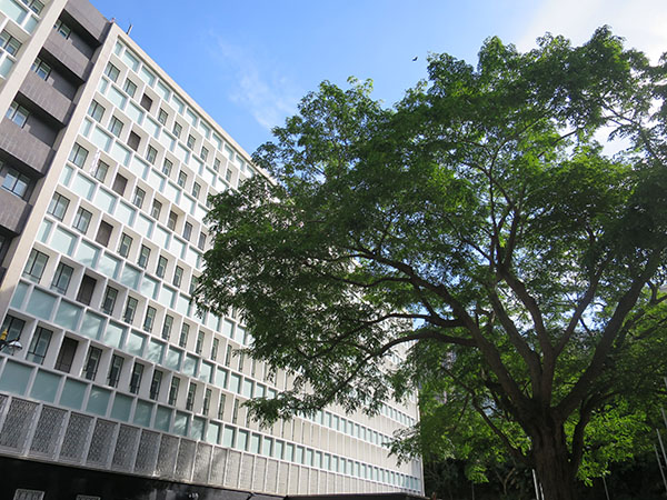Former Central Government Offices Complex - Photo 2