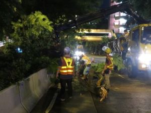 Frontline colleagues from various departments removing fallen trees as quickly as possible to re-open obstructed roads after rainstorms