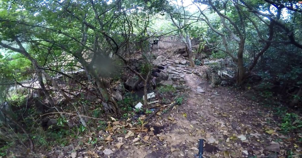 A section of the mountain bike trail networks in South Lantau