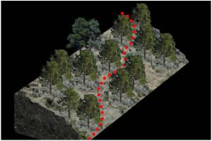 Alignments of the newly constructed mountain bike trails will resemble the terrain to minimise tree felling
