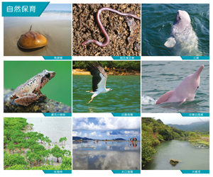 Nature conservation on Lantau