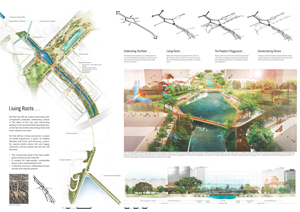 专业组冠军作品：Living Roots。