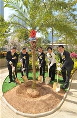 Urban greening works to be completed by mid-year