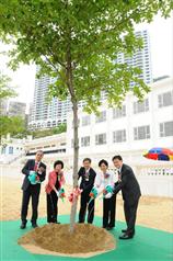 Urban greening works to be completed by mid-2011 
