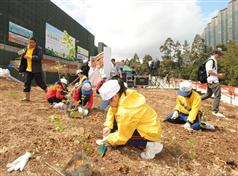 五十多名學生在今日（三月三日）舉行的長遠防治山泥傾瀉計劃社區種植日種植樹苗。
