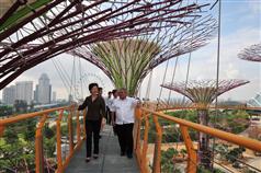 发展局局长林郑月娥今日（五月十八日）参观新加坡全新景点滨海湾花园。