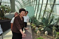 林郑月娥参观在滨海湾花园内的冷却温室「花穹」。