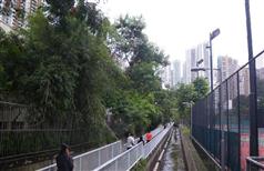The nullah between Causeway Road and Tung Lo Wan Road adjacent to Queen's College before decking. 