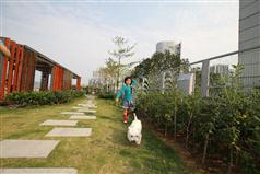 A girl is enjoying a walk with her dog in the lawn.
