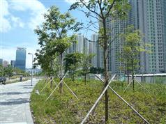 北停機坪區內種植逾158 000棵樹木和灌木以美化環境。
