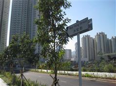 根據公共創意研究的建議，北停機坪區內一系列的新建街道特別以「沐」字為首命名，其靈感來自活化後的啟德河和以「樹木」為主題的概念。