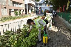 食物环境卫生署承办商员工喷洒蚊油，以防蚊患。
