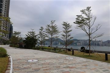 啟德共融通道新段今日開放