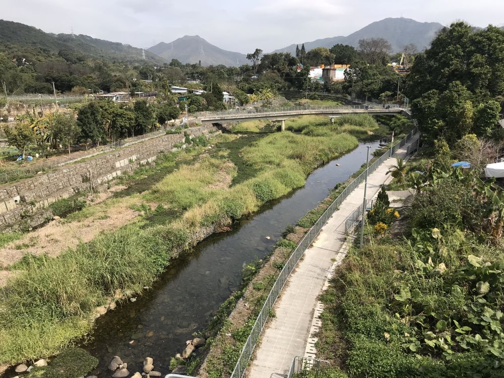 为提升林村河上游的排洪能力，渠务署把这条天然河道拉顺、扩阔及挖深，并在工程进行时极力保育该处的自然生态环境。