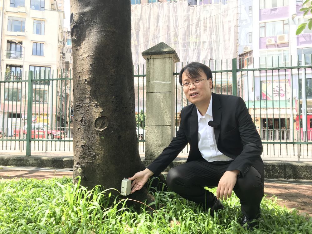 香港理工大学土地测量及地理资讯学系副教授黄文声博士说，“赛马会智慧城市树木管理计划”，透过智能传感技术及地理资讯系统，大规模监测树木的稳定性，加强树木风险管理。
