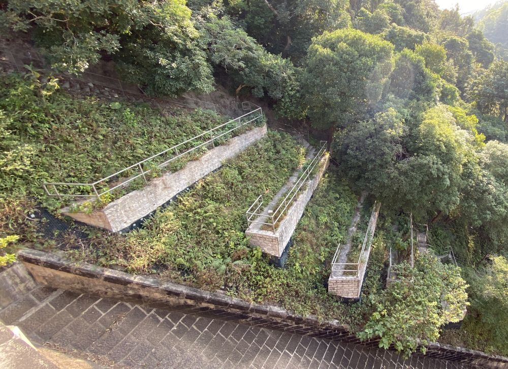 种植墙围栏的铁通嵌入混凝土内，以免猴子摇松围栏。种植墙栽种的植物亦经过严格挑选。