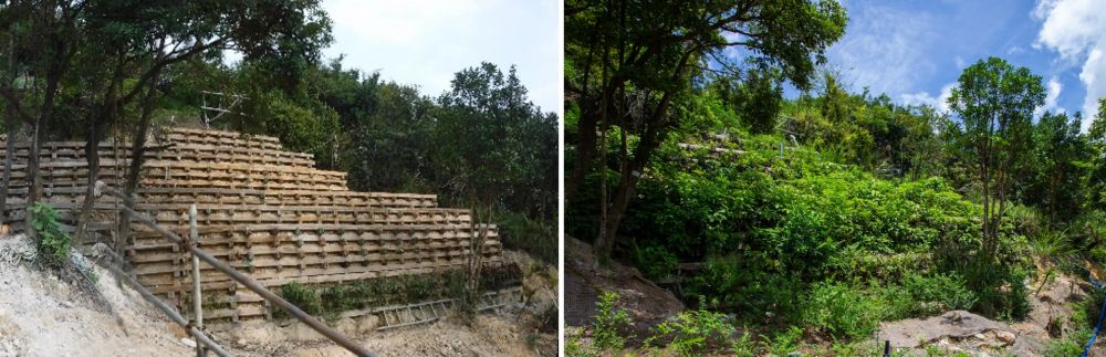 上羗山的天然山坡工程采用「框式植被墙」，帮助提高天然山坡的稳定性及减低地面侵蚀的情况。