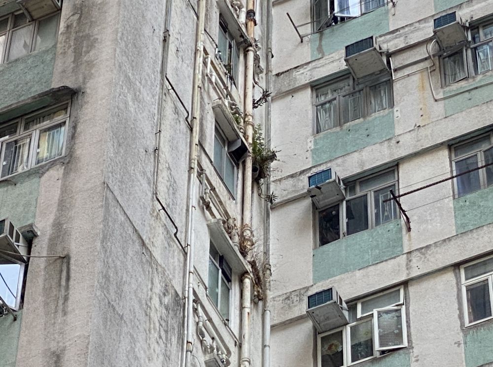 资助计划涵盖渠管勘测及修葺楼宇公用排水系统，以及其相连而非位于个别单位内的分支渠管，以改善排水系统的整体功能。