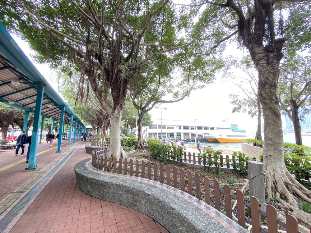 二维条码树木标签计划复盖全港，首阶段涉及的树木是位处人流较多的地点，包括中环码头一带。