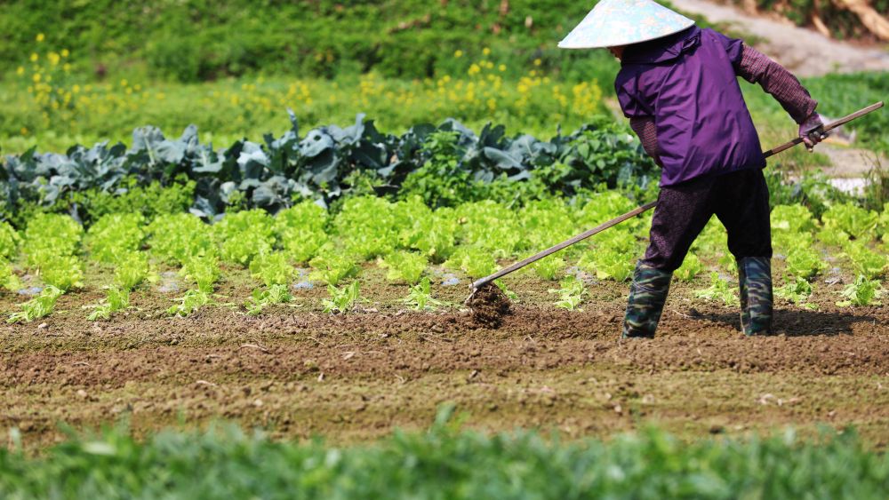 「农业区」会让农民以生态友善的模式耕作。