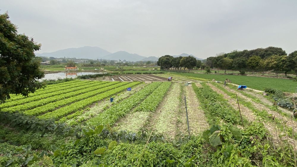 「农业区」会让农民以生态友善的模式耕作。