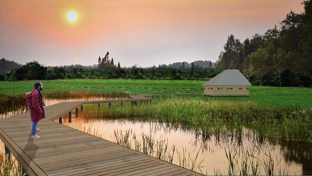 公园的「访客区」将设有木板步行道、观鸟屋等，让市民在自然环境中探索淡水湿地。（构想图）