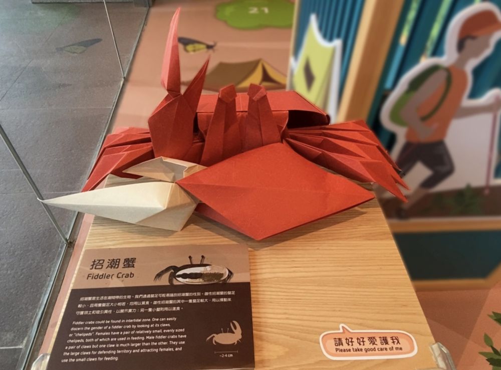 在“绿．活大屿”展览中，访客可欣赏到由著名摺纸艺术家陈柏熹创作的大屿山生物摺纸艺术作品。