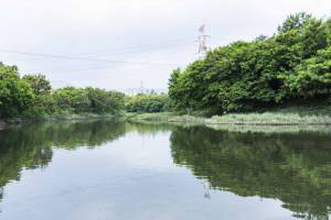 元朗排水绕道的浅水池。